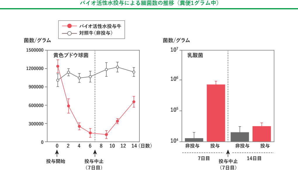 動物における抗菌消臭試験