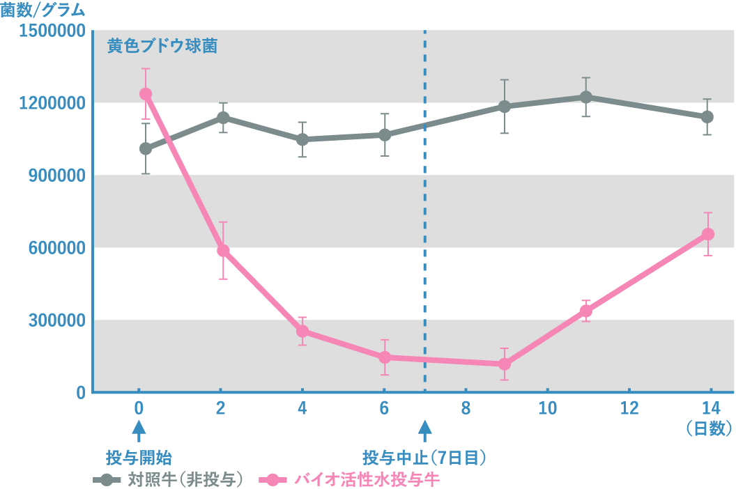 バイオ活性水投与による細菌数の推移（糞便1グラム中）